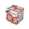 Degroot DeGroot Amaryllis Gift Box Bulb Kit 1 pk AY912A00 - alternate 4